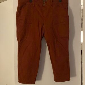 Size 22 Torrid Pants